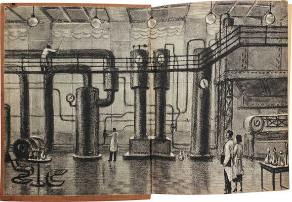 Лукин Н. Судьба открытия. Роман / Рис. Н. Кочергина. М.; Л.: Детгиз, 1951.
